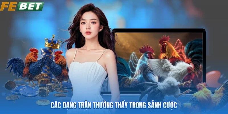 Các dạng trận thường thấy trong sảnh cược