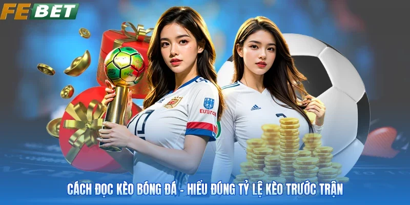 Cách Đọc Kèo Bóng Đá - Hiểu Đúng Tỷ Lệ Kèo Trước Trận