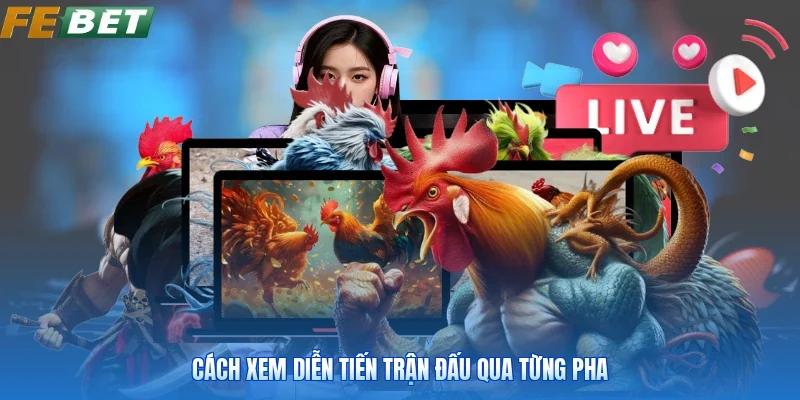 Cách xem diễn tiến trận đấu qua từng pha