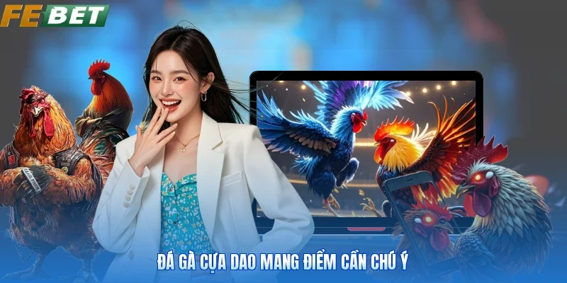 Đá gà cựa dao mang điểm cần chú ý