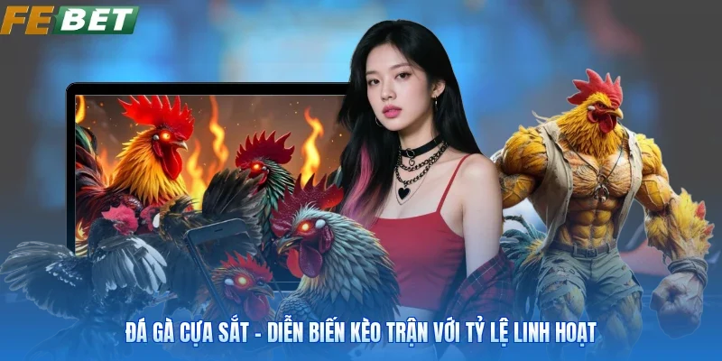 Đá Gà Cựa Sắt - Diễn Biến Kèo Trận Với Tỷ Lệ Linh Hoạt