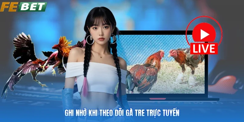 Ghi nhớ khi theo dõi gà tre trực tuyến