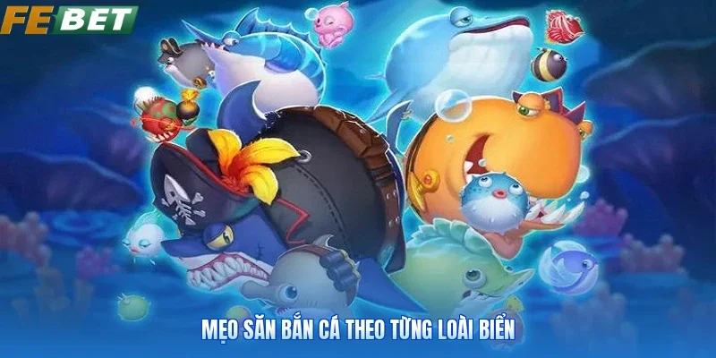 Mẹo săn bắn cá theo từng loài biển