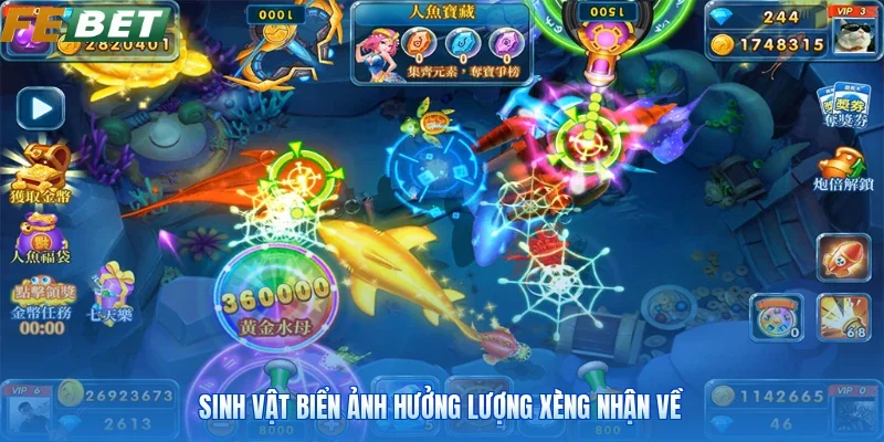 Sinh vật biển ảnh hưởng lượng xèng nhận về