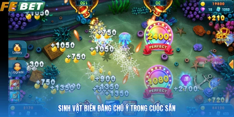 Sinh vật biển đáng chú ý trong cuộc săn