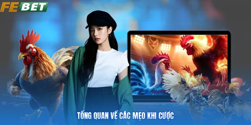 Tổng quan về các mẹo khi cược