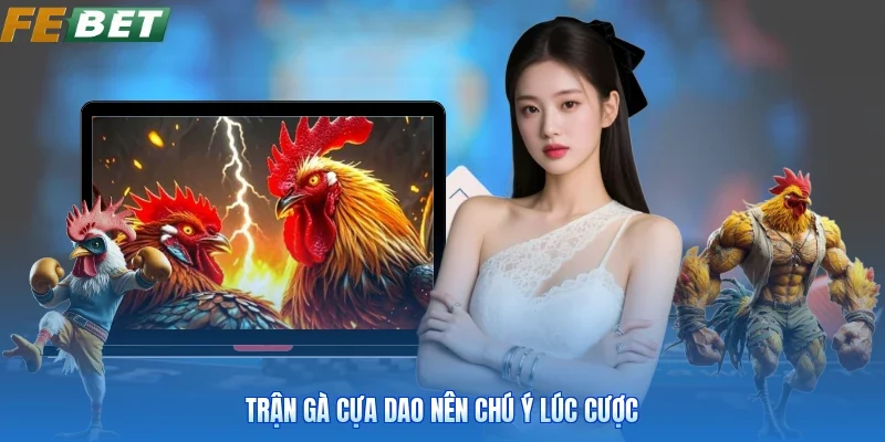 Trận gà cựa dao nên chú ý lúc cược